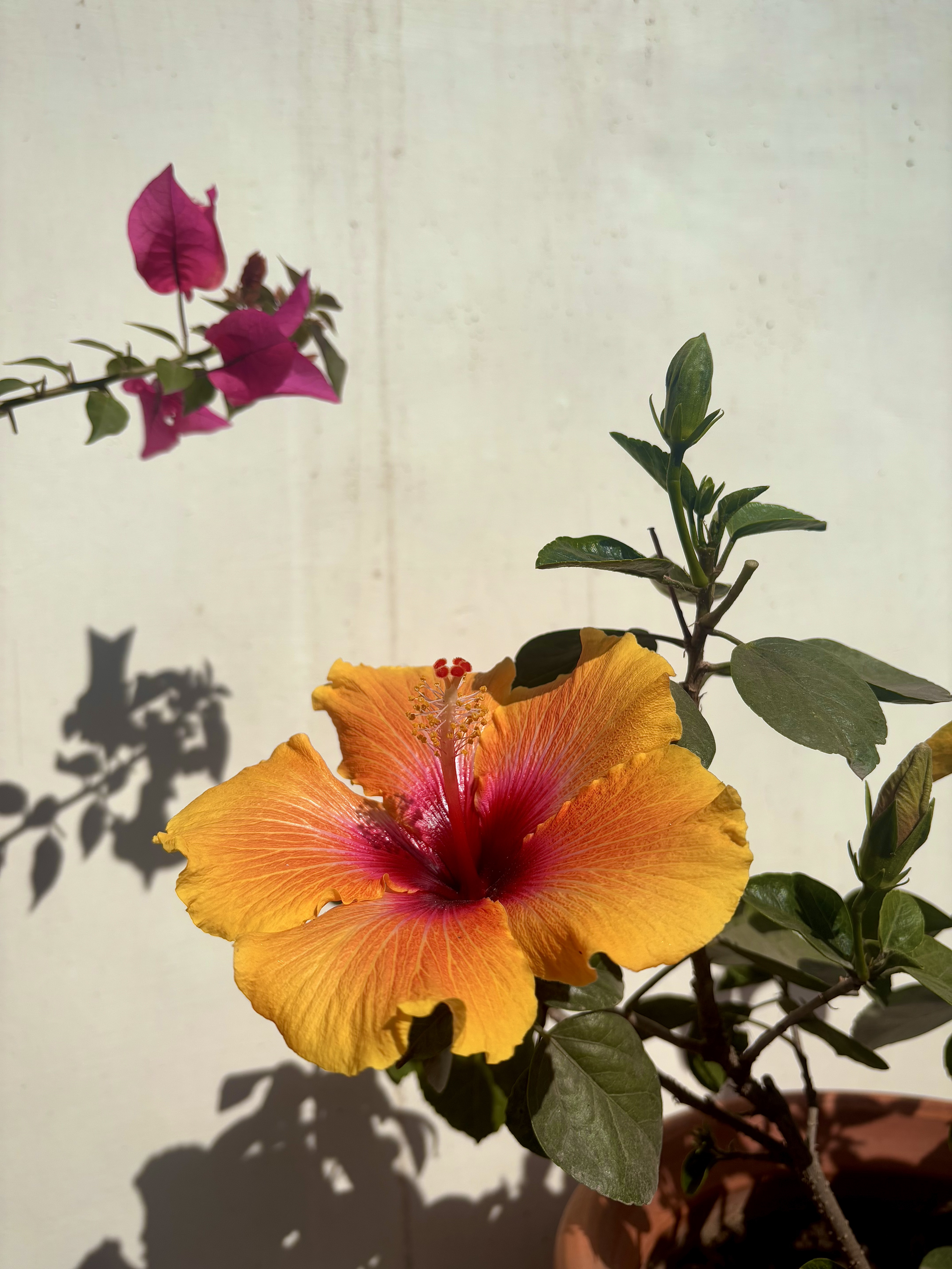 Nature Photography